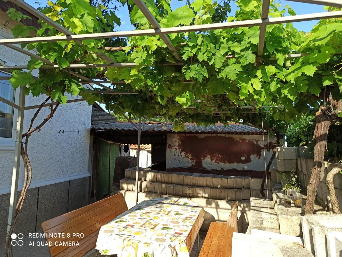Къща За Гости Феникс Şabla Exterior foto